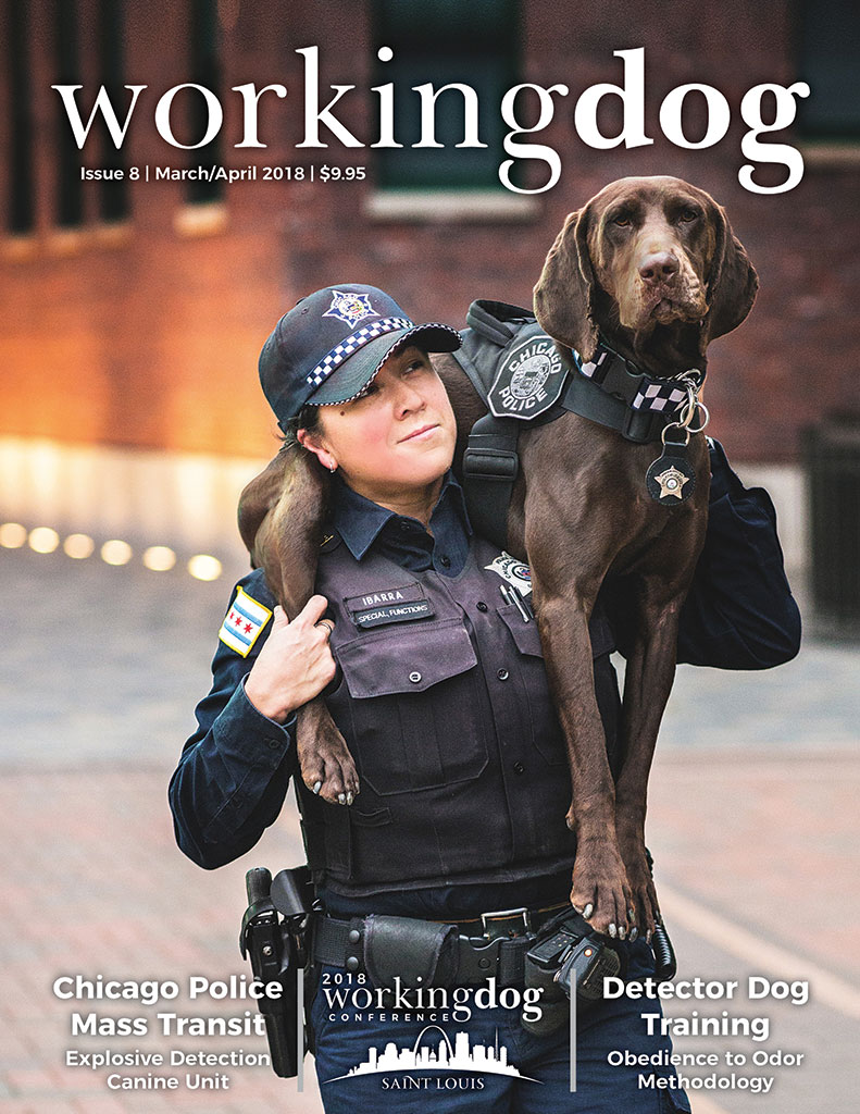 WDM_i8_CoverE-edition