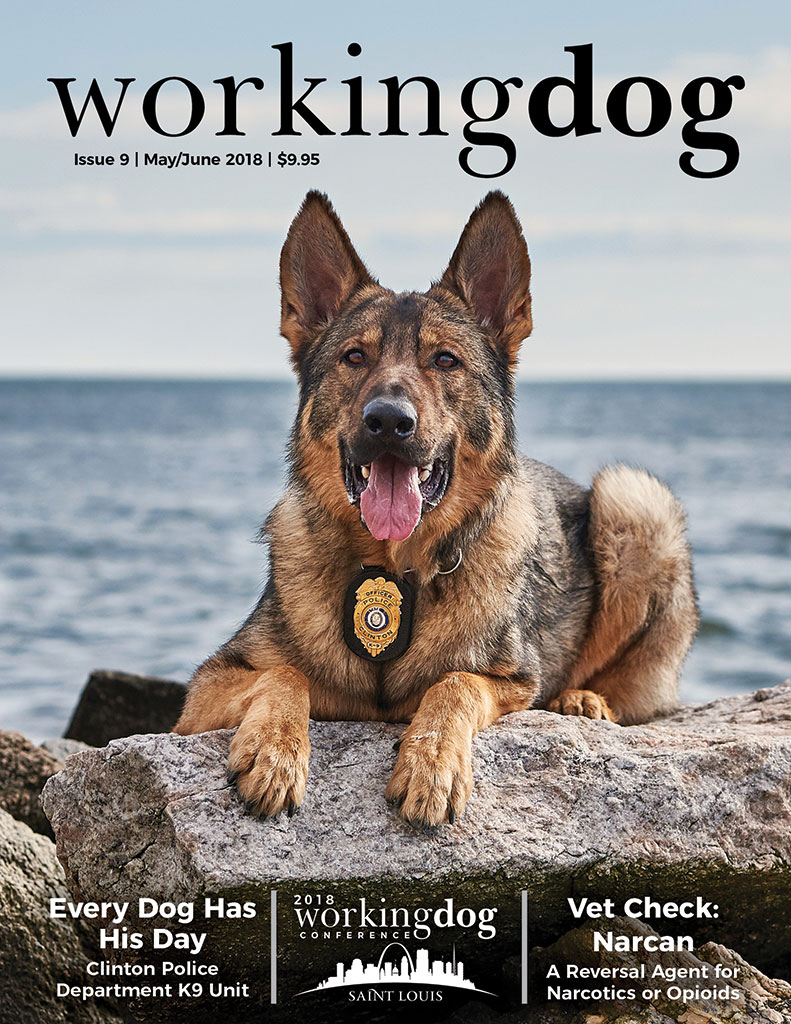 WDM_i9_CoverE-edition